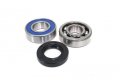 Bossbearing Chain Case Bearing And Seal Kit Jack Shaft For Yamaha Bravo 1988 1989 1990 1991 