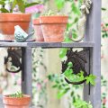 Catchdragon Rustic Cast Iron L Shelf Brackets Holder Heavy Duty Dragon Gothic Corbels Decorative Closet Pegboard Wall Corner