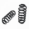 A-premium Coil Spring Compatible With Bmw E53 X5 2000-2006 Rear Side 2-pc Set