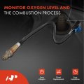 A-premium O2 Oxygen Sensor Compatible With Mitsubishi Mirage 1998 1999 2000 2001 1 8l Upstream And Downstream 2-pc Set