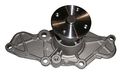 Gmb Water Pump 