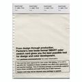 Pantone Smart Swatch 11-4801 Tofu 