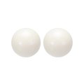 1-inch Pa Nylon Solid Plastic Balls Precision Bearing Ball 2pcs 