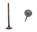 Dnj Engine Components Ev246a Exhaust Valve 
