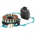 Topteng Regulator Magneto Stator Coil Gasket Kit Fits For Yamaha Yxr 450 Rhino 2006-2009 Yxfse 450 Special Edition 2008
