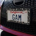 Skeleton Skull Bones Rib Cage And Femur Pattern License Plate Tag Frame