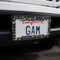 Skeleton Skull Bones Rib Cage And Femur Pattern License Plate Tag Frame