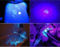 Hqrp 390 Nm 3w Led Flashlight Blacklight 5 Modes Rainproof Weather Resistant