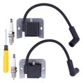 24 584 176-s Ignition Coil Module And Spark Plug 