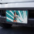 Graphics More Wonder Woman Flashing Lights Novelty Metal Vanity Tag License Plate