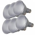 13par30 Led Bulb 40 Ln Nl