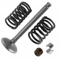Caltric Intake Valve Kit Compatible With Yamaha 43d-12111-09-00 43d-e2114-00-00 43d-e2113-00-00