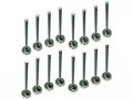 Intake And Exhaust Valve Kit 16 Piece For 2004-2008 Chevy Aveo 1 6l Dohc Vin Code 6 