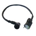 Ignition Coil For Honda Ch125 Ch 125 Elite Scooter 1984 New 