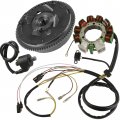Caltric Flywheel Magneto With Stator And Ignition Coil Compatible Polaris Sportsman 500 1998-2001 