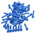 Autobahn88 Motorcycle Engine Bolt Dress-up Kit Compatible With Yamaha Fjr 1300 2001-2005 Blue Set Of 38