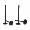 Xljoy Intake Exhaust Valves For Daytona Anima 150 190 4v Engine