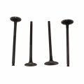 Xljoy Intake Exhaust Valves For Daytona Anima 150 190 4v Engine