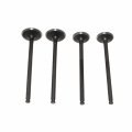 Xljoy Intake Exhaust Valves For Daytona Anima 150 190 4v Engine