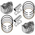 Caltric 2x Cylinder Piston Ring Kit Compatible With Kawasaki Brute Force Kvf750 4x4i Eps 2012 2013 2014