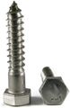 Hex Lag Screws 18-8 Stainless Steel 1 2 X-1 Qty-100 