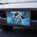 Graphics More Niagara Falls New York Canada Selfie Orca Shark Dolphin Novelty Metal Vanity Tag License Plate