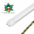 2pack T8 Led Tube Light 2ft Bulb 9w 18w Equiv 5000k Daylight 1350lm Super Bright Ballast Bypass F17t8 F18t8 F20t10 Cw 