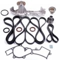 Timing Belt Kit Including Water Pump With Gasket Tensioner Bearing Etc Ocpty Compatible For 1999 2000 2001 2002 2003 2004