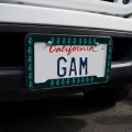 Blue Seahorse With Kelp License Plate Tag Frame