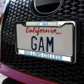 Rollins College Full Size Standard License Plate Metal Frame