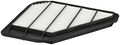 Fram Ca10110 Extra Guard Panel Air Filter 