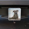 Staffy Staffordshire Bull Terrier Dog Sandy Beach Tow Trailer Hitch Cover Plug Insert