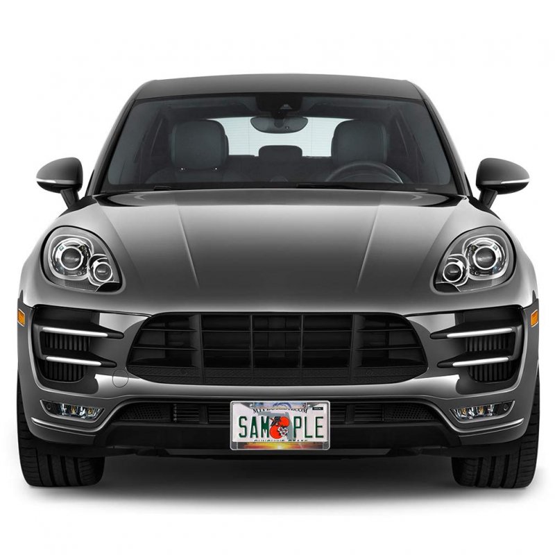 Fastasticdeals Metal Insert License Plate Frame Jumping Dolphins L Red Sunset On Sea Ocean Beach Weatherproof Car Accessories