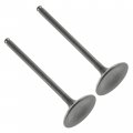 Caltric 2 Exhaust Valves Compatible With Suzuki King Quad 700 4x4 Atv Lt-a700x Lta700x 2005 2006 2007