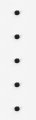 5 Pack Genuine 92210-7019 Nut For Specific Engine Models 