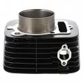 Niche Engine Cylinder For Yamaha Big Bear Kodiak 400 4gb-11310-00-00 5fu-11310-01-00