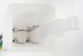 Handlebar Switch Right Hand 4 Pins In Pin Fm Jack Kill Electric Start