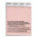 Pantone Smart Swatch 13-1511 Pink Salt 