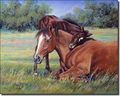 A Shoulder To Lean On By Marsha Mcdonald Horse Equine Ceramic Accent Tile 8 X 10 Kitchen Shower Backsplash 