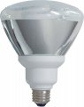 Ge 78964 24-watt 1185-lumen Track And Recessed Par38 Cfl Bulb Daylight 