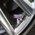 Scarlet Macaw Jungle Valve Stem Caps For Tire Rim Wheel Aluminum Purple