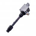 Blpextrm Ignition Coil Pack Of 1 Replacement For Nissan Pathfinder 2001 3 5l V6 Replace Uf328 224484w000 224484w001 