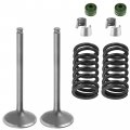 Caltric 2x Exhaust Valve Kit Compatible With Yamaha Wr450f 2016 2017 2018 1sl121210000 51y-12119-00-00