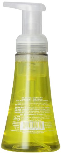 Method Foaming Hand Soap Lemon Mint 10 Ounce Pack 6