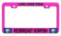 Live Love Fish Redbreast Sunfish Fishing Pink Metal License Plate Frame Tag Holder C87 