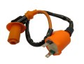 Ignition Coil For Honda Trx300fw Fourtrax 4x4 1988 1989 