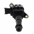 Polaris New Oem Coil Ignition