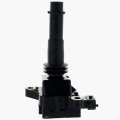 Polaris New Oem Coil Ignition