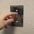 Burro Small Donkey Plastic Wall Decor Toggle Light Switch Plate Cover