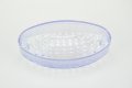 Tp Motorcycle Brake Tail Light Lens Clear Fit For Buell Firebolt Blast Lightning